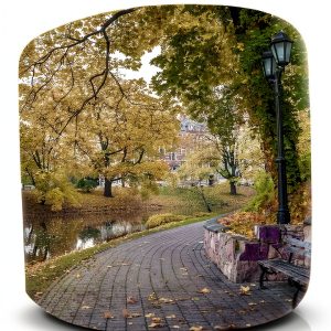 Park and Recreation Management 4th Edition by Waveland Press-0