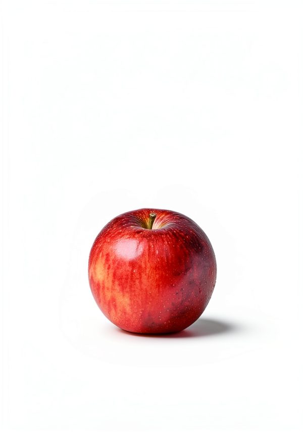Sustainable Agriculture Guide by Harmony Kindle eBook-0